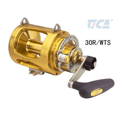 Tica Team WTS 30 R